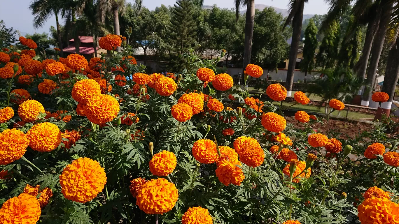 Photo of Saputara Lake Park By Casual Explorer