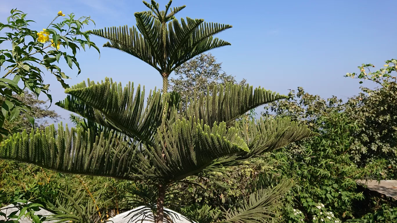 Photo of Saputara Lake Park By Casual Explorer