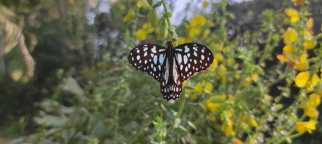 Photo of Ovala Naka By Casual Explorer