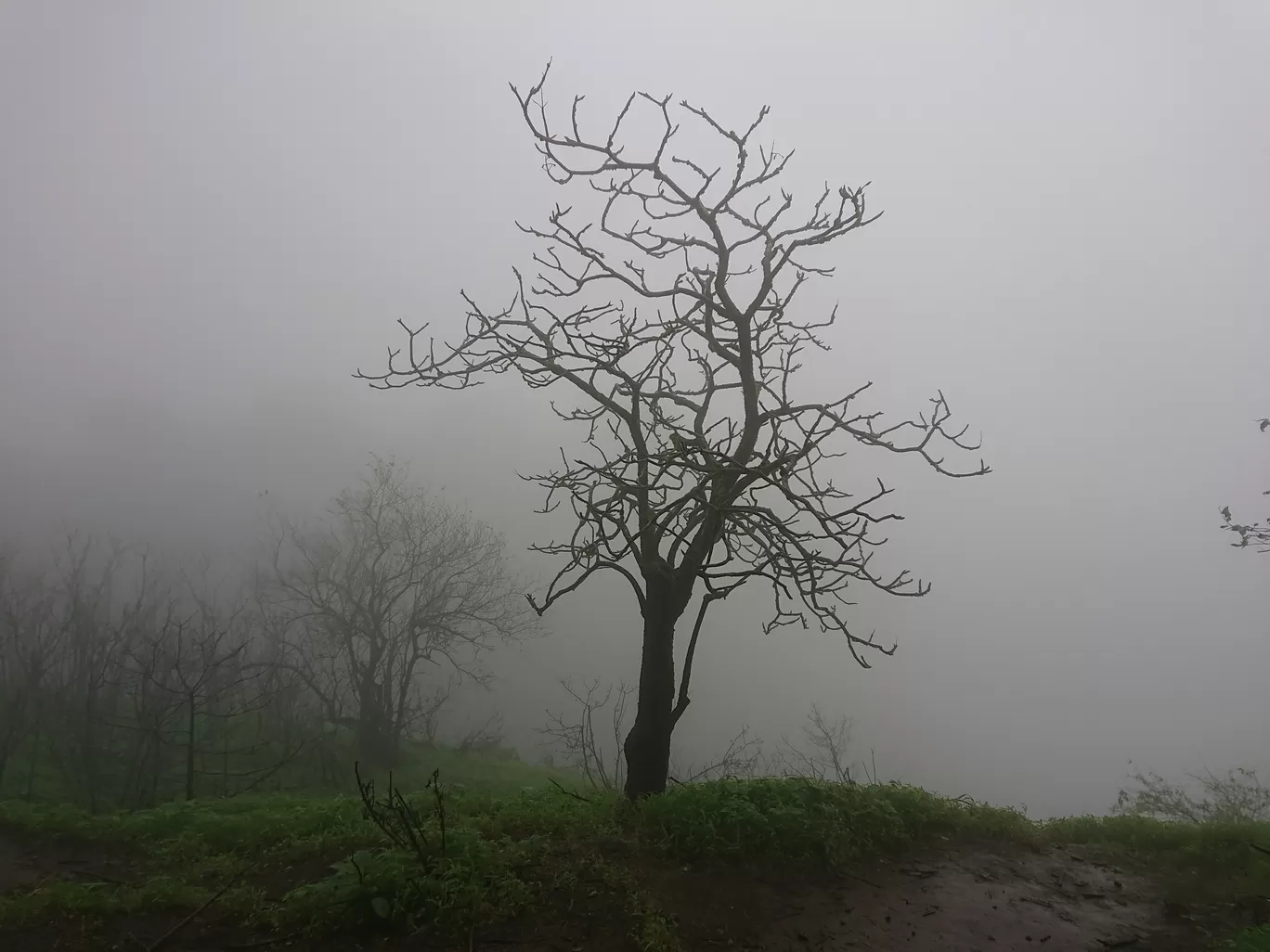 Photo of Tamhini Ghat Waterfall By Casual Explorer