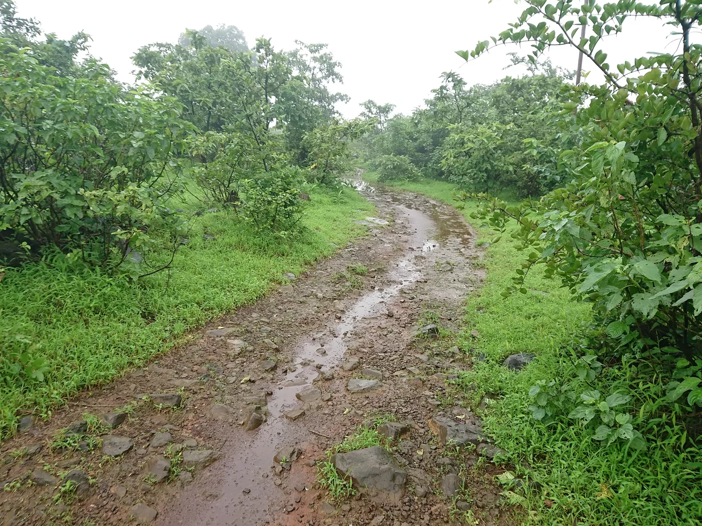 Photo of Tamhini Ghat Waterfall By Casual Explorer