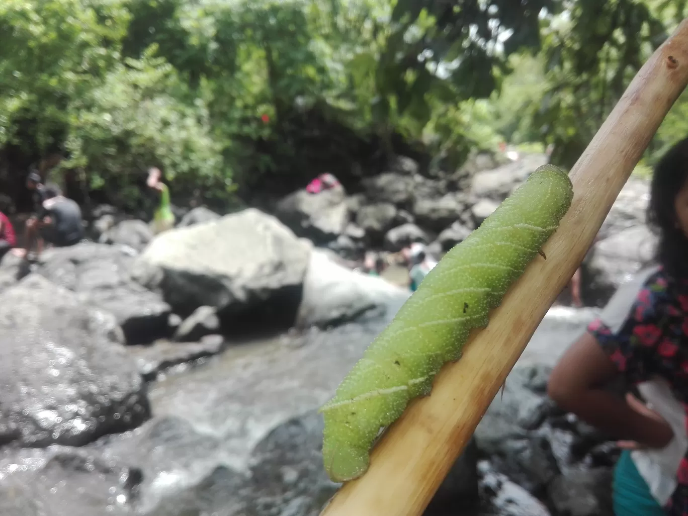 Photo of Chinchoti By Casual Explorer