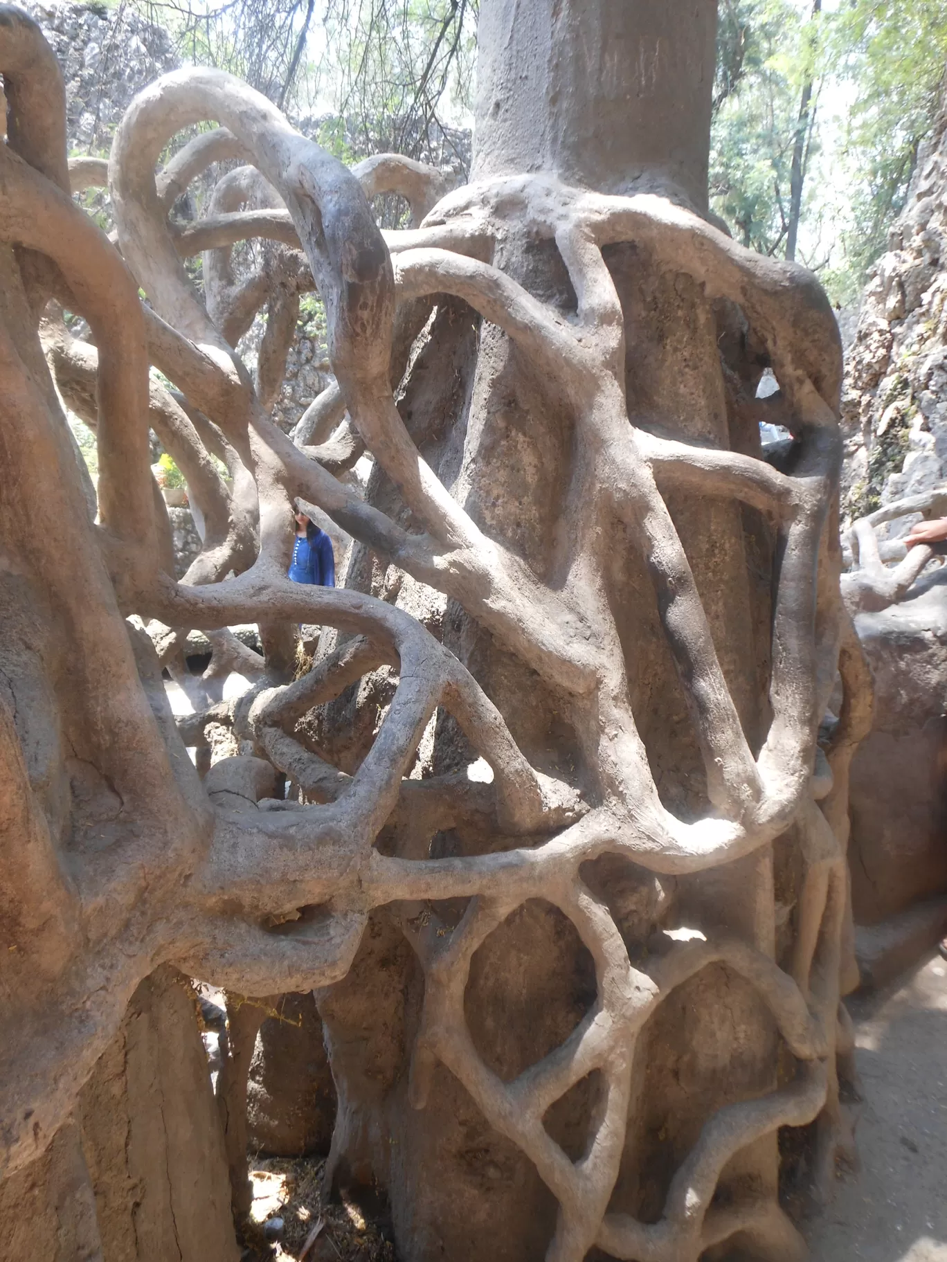 Photo of Chandigarh By Casual Explorer