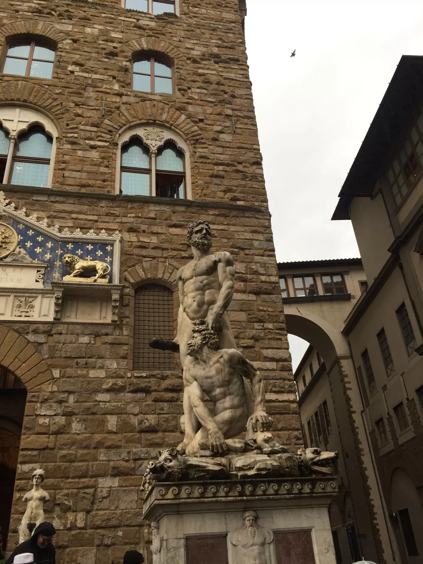 Photo of Florence By Ajay Gupta