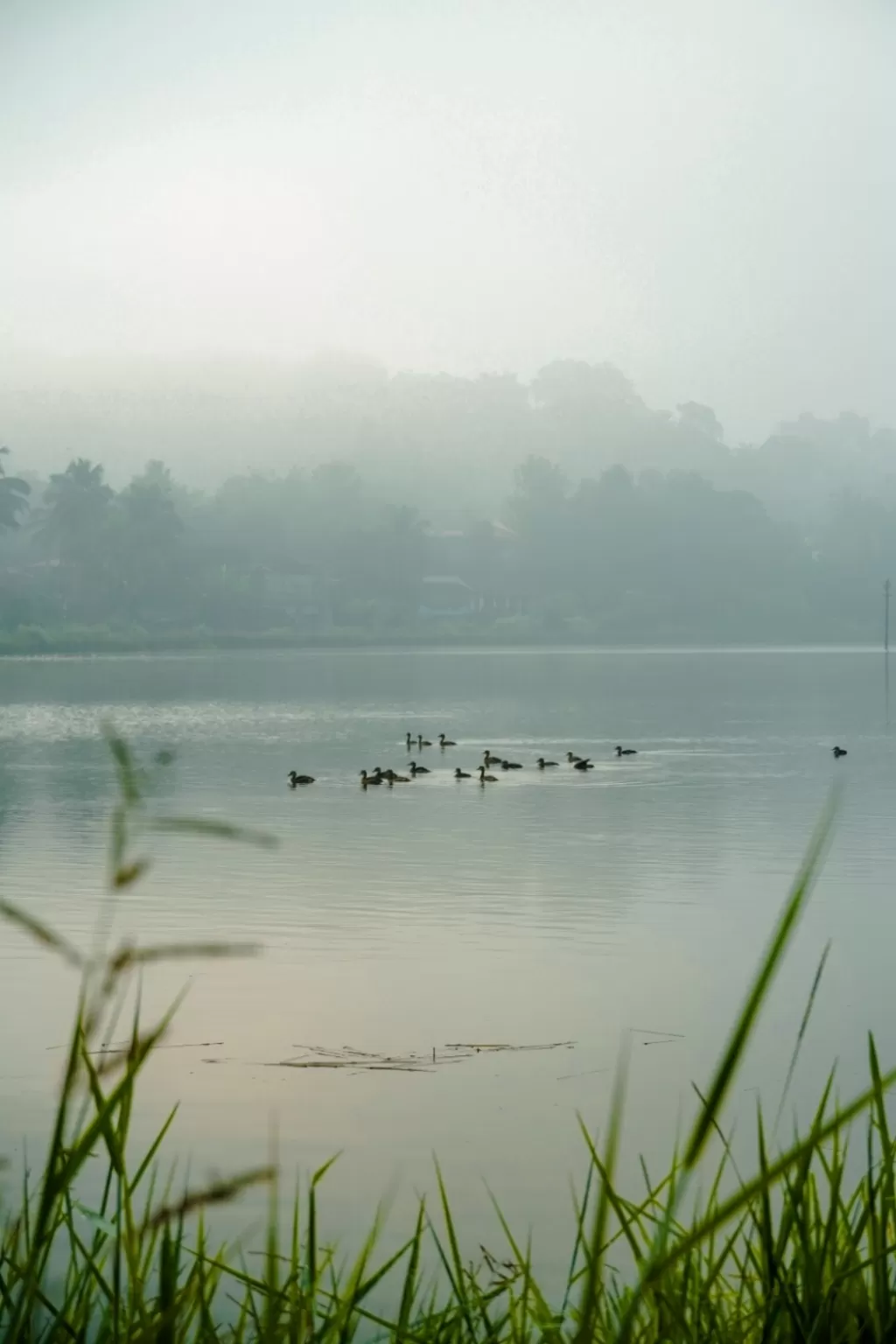 Photo of Curtorim By Sarthak naik