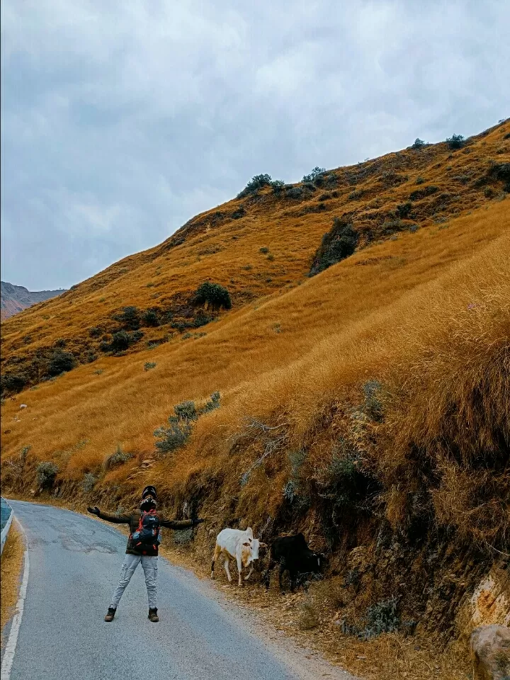 Photo of Chakrata By Mohit Kandwal