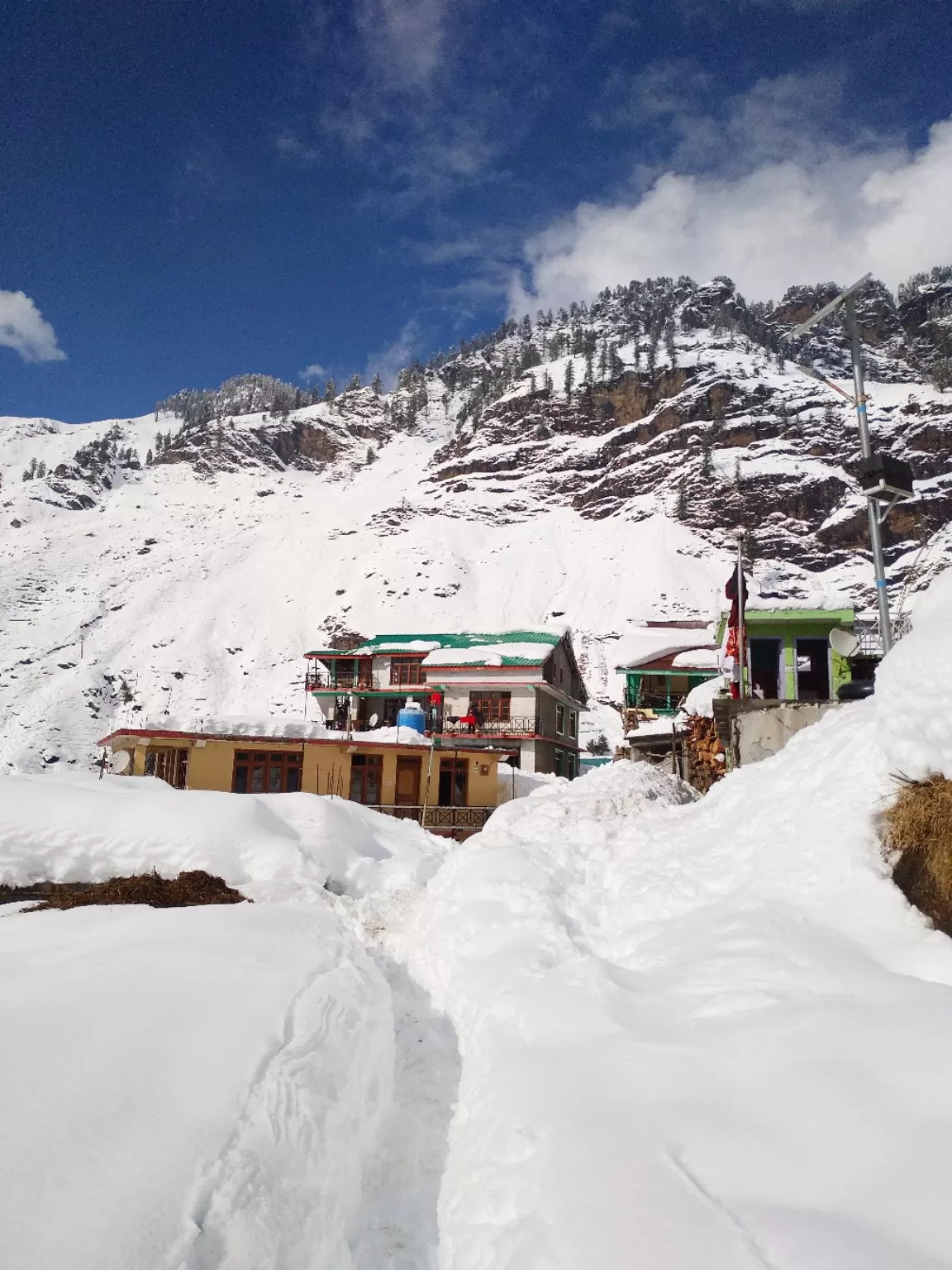 Photo of Manali Himachal By rahul thakur 