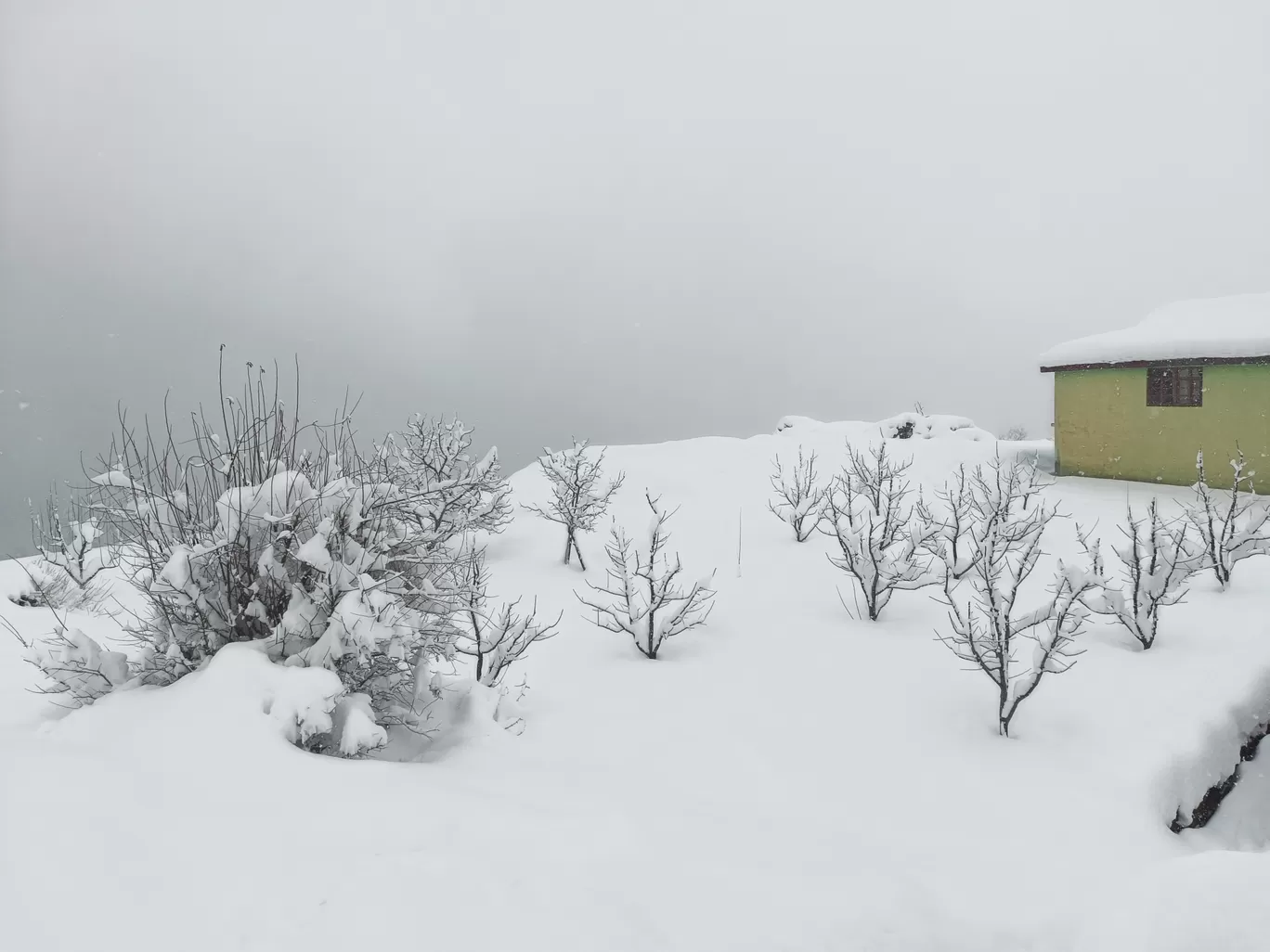 Photo of Manali By rahul thakur 