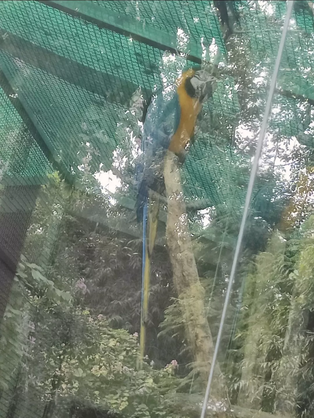 Photo of Lucknow zoo By Uttam Kumar