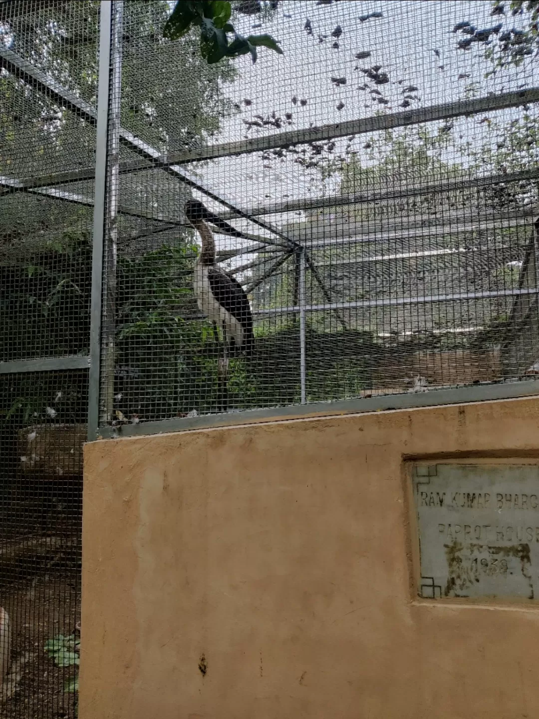 Photo of Lucknow zoo By Uttam Kumar