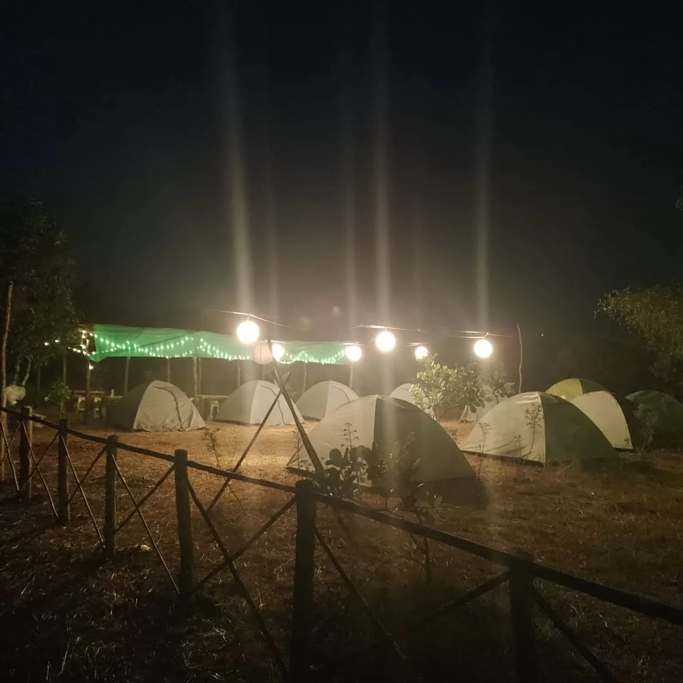 Photo of Dapoli Nature Camp By DapoliNature Camp