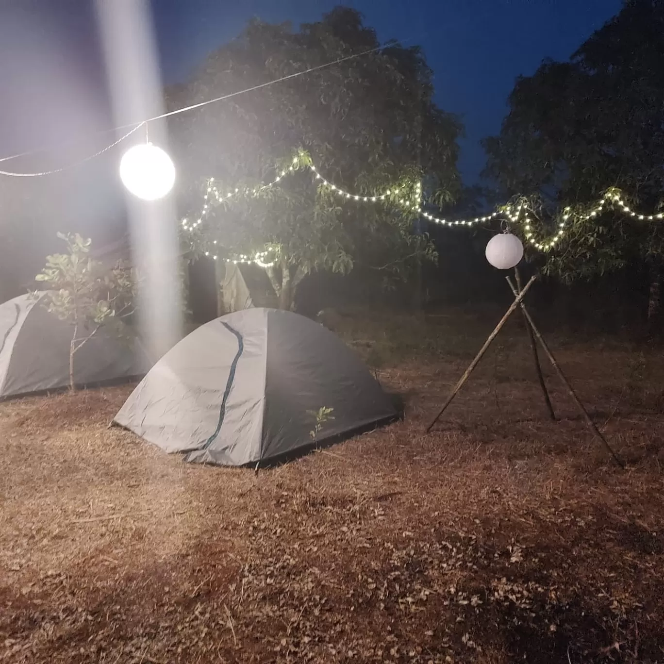 Photo of Dapoli Nature Camp By DapoliNature Camp