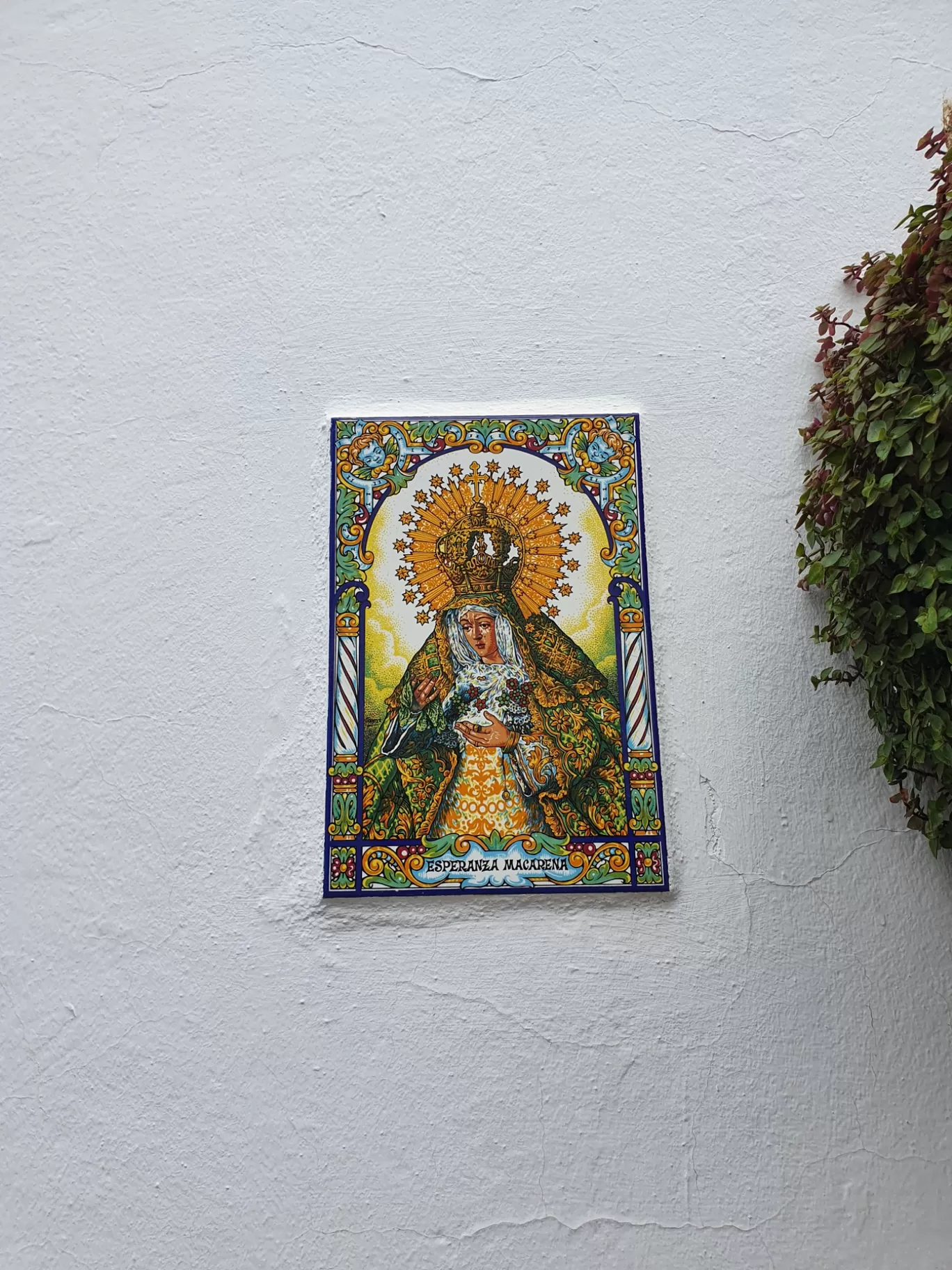 Photo of 29689 Estepona By Joren Droogh