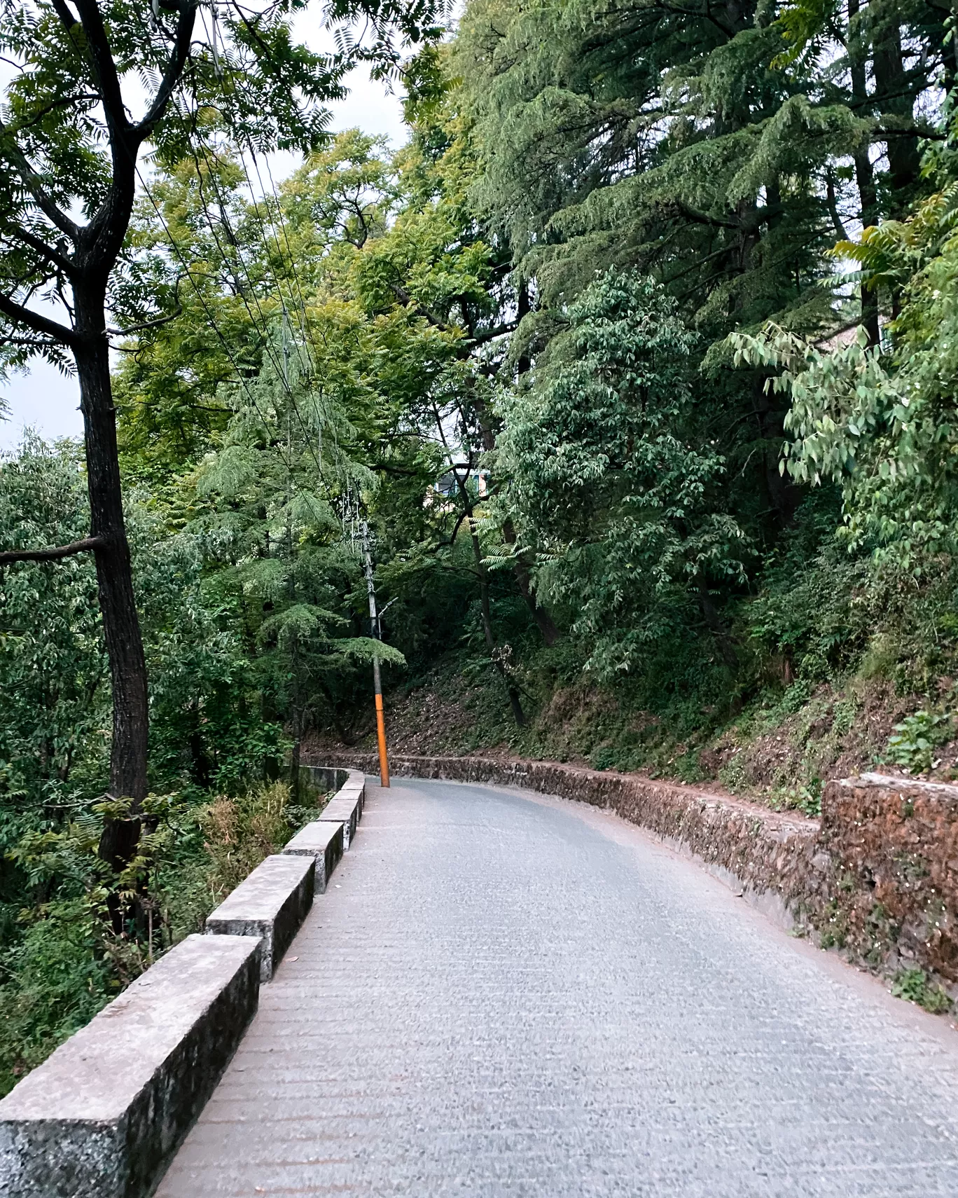 Photo of Mussoorie By Tanisha Bhandari