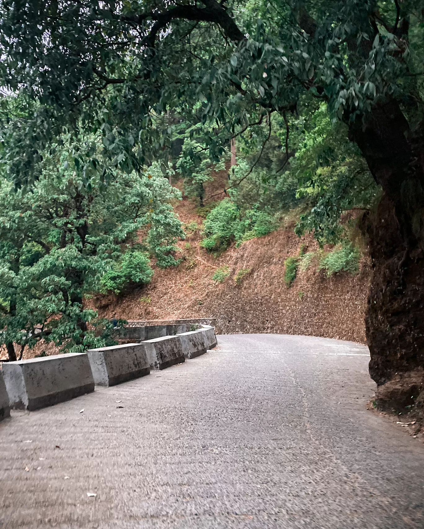 Photo of Mussoorie By Tanisha Bhandari