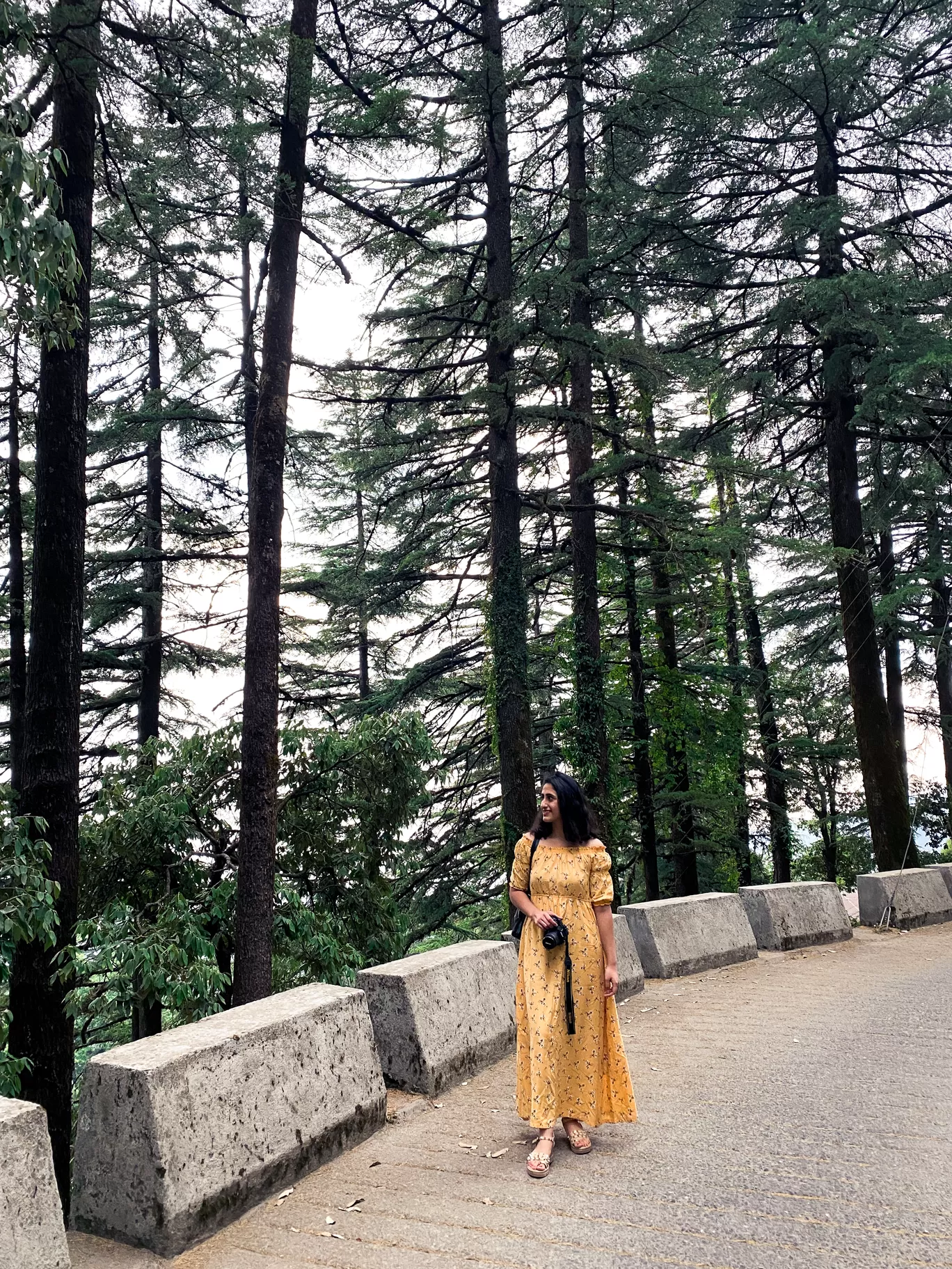 Photo of Mussoorie By Tanisha Bhandari
