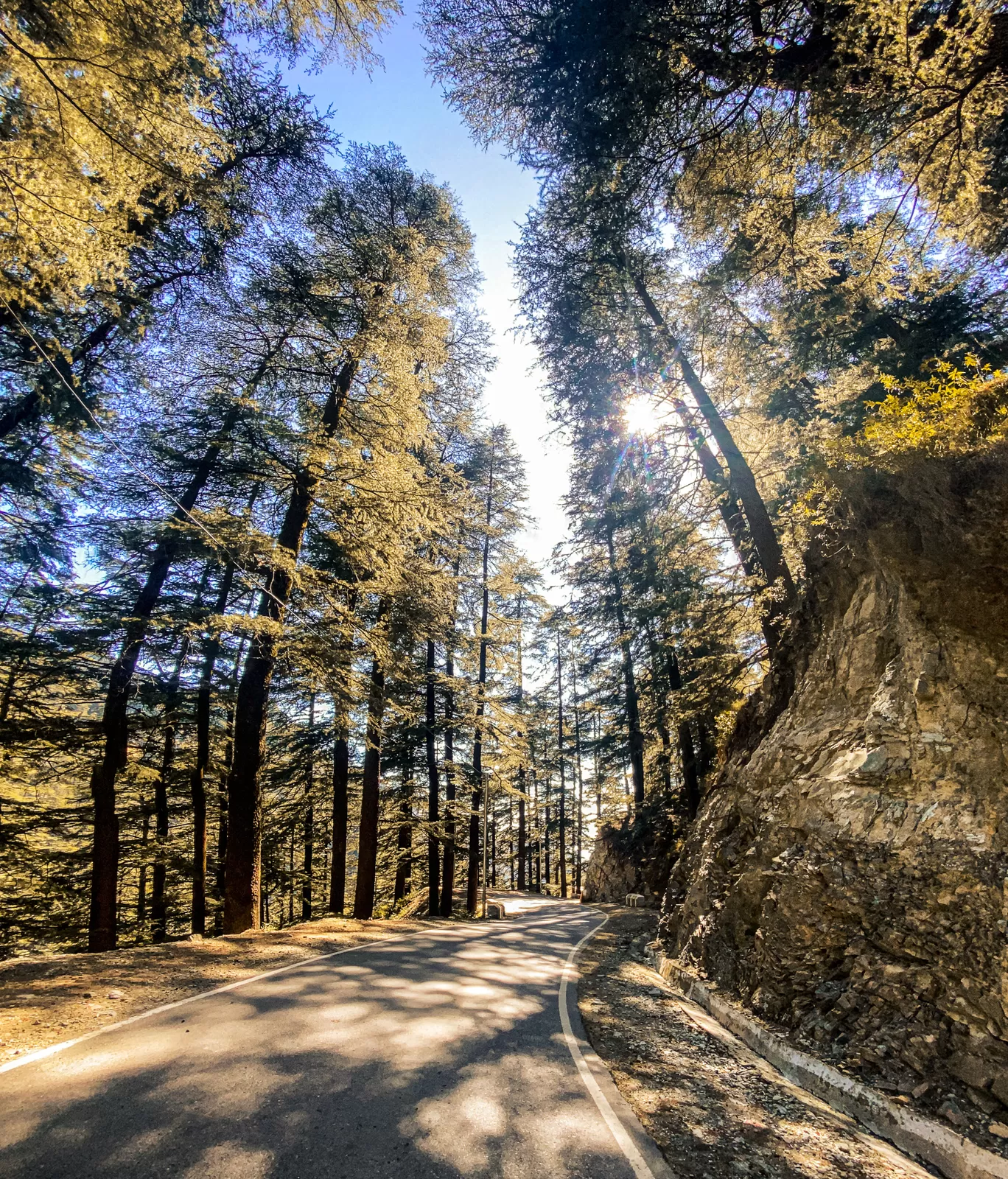 Photo of Barot By Tanisha Bhandari