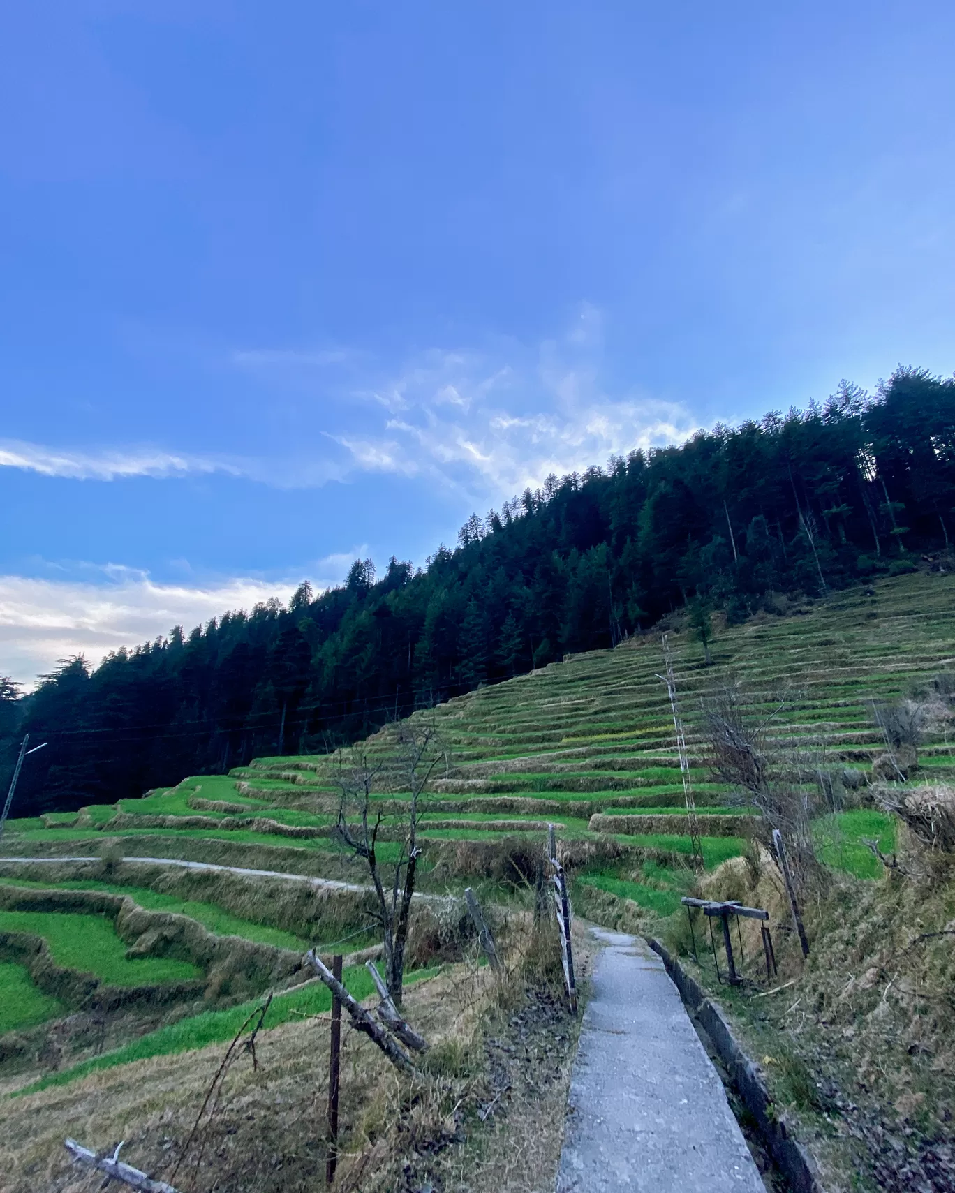 Photo of Barot By Tanisha Bhandari