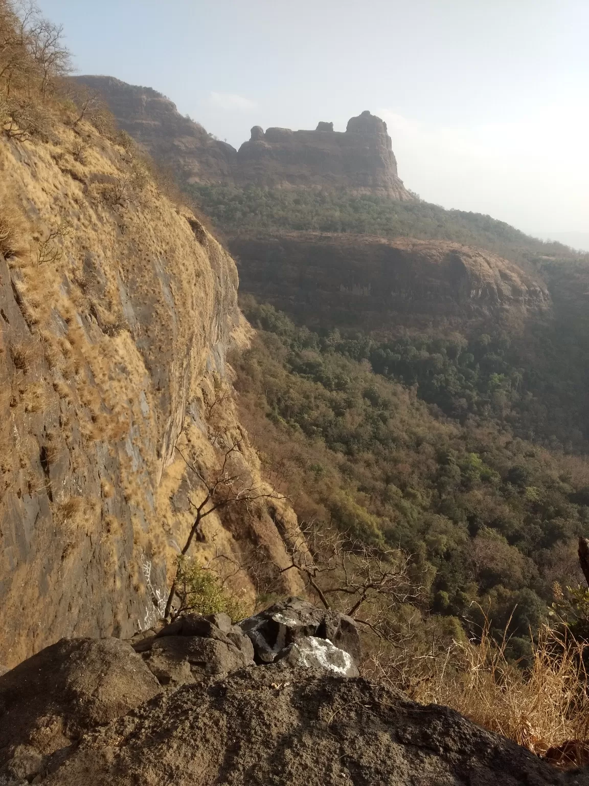 Photo of Bhimashankar Temple By santhosh chandra