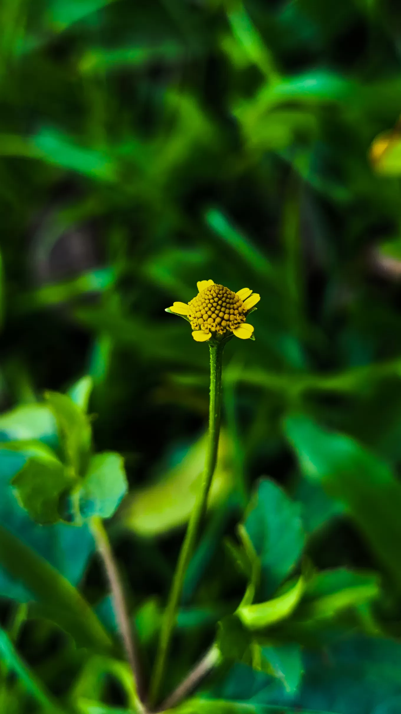 Photo of Odisha By Sruti Patnaik