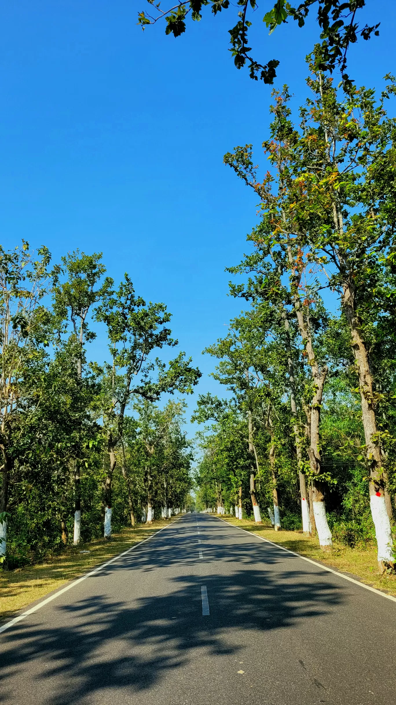 Photo of Odisha By Sruti Patnaik
