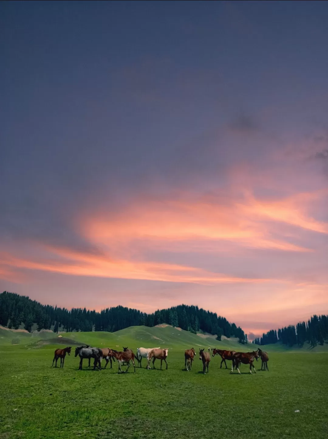 Photo of Bungus Valley By W A Q A R 💫