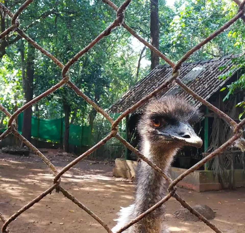 Photo of Bondla Wildlife Sanctuary By Sonali Panagale