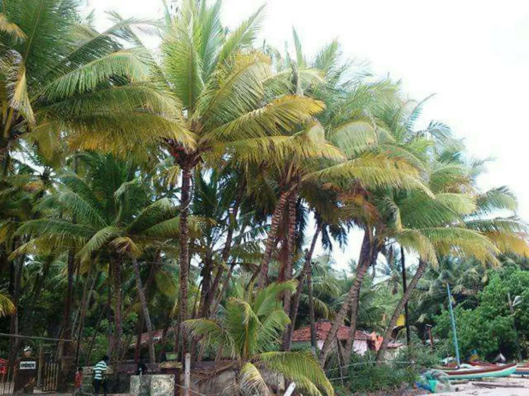 Photo of Sindhudurg By Sonali Panagale