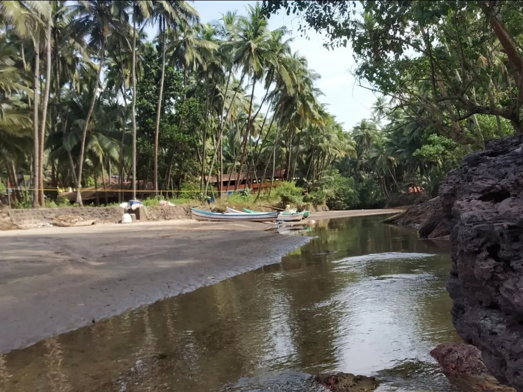 Photo of Canaguinim Beach By Sonali Panagale