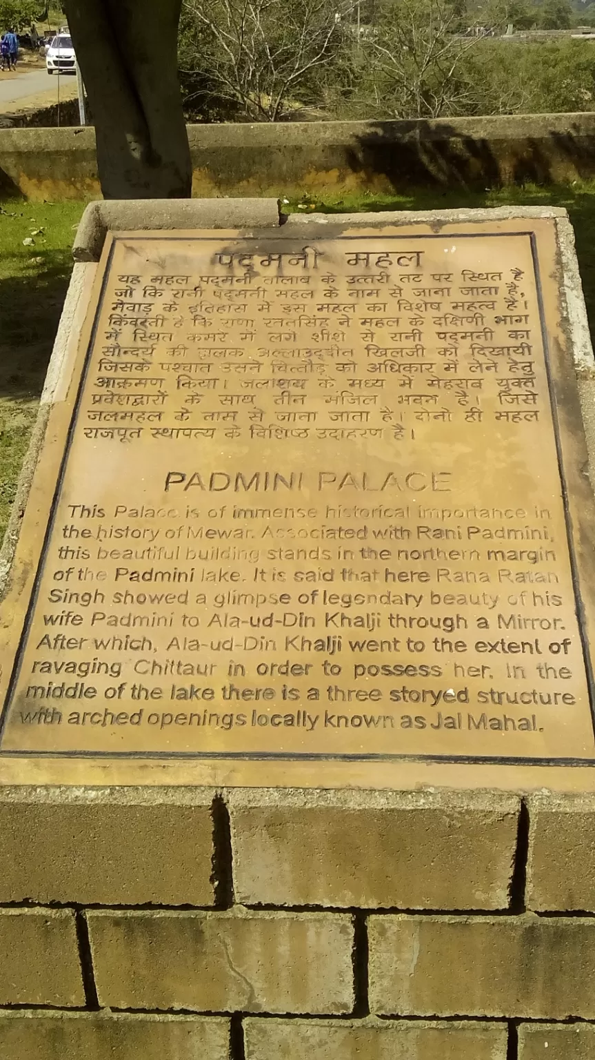Photo of Padmini Mahal By Sonali Panagale