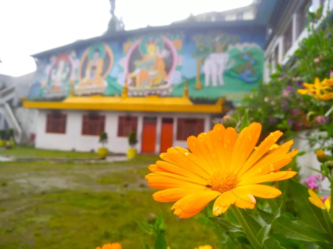 Photo of Druk Sang-Ngag Choling Monastery By Sonali Panagale