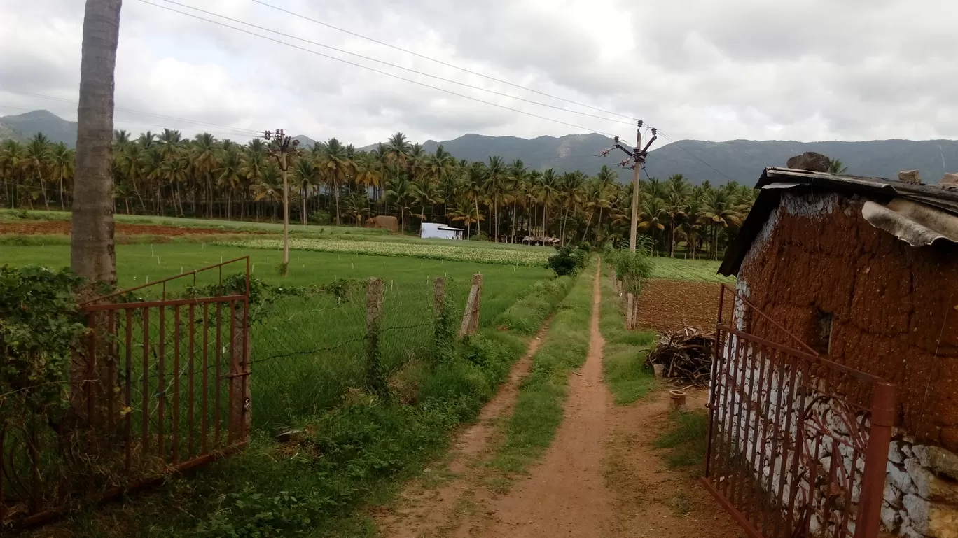 Photo of Jeep Safari in Thekkady -Jungle Jeep Safari By Sonali Panagale