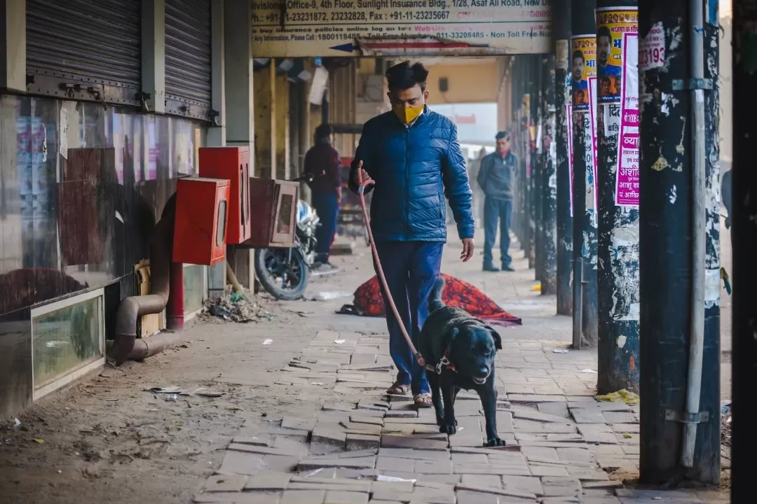 Photo of Chandni Chowk By Subhash Kumar