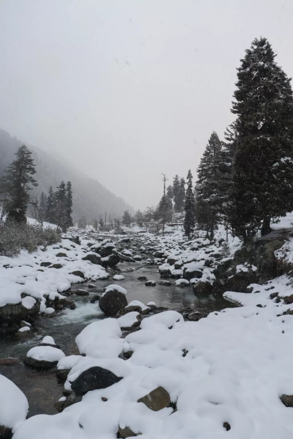 Photo of Pahalgam By Yawar Hamid