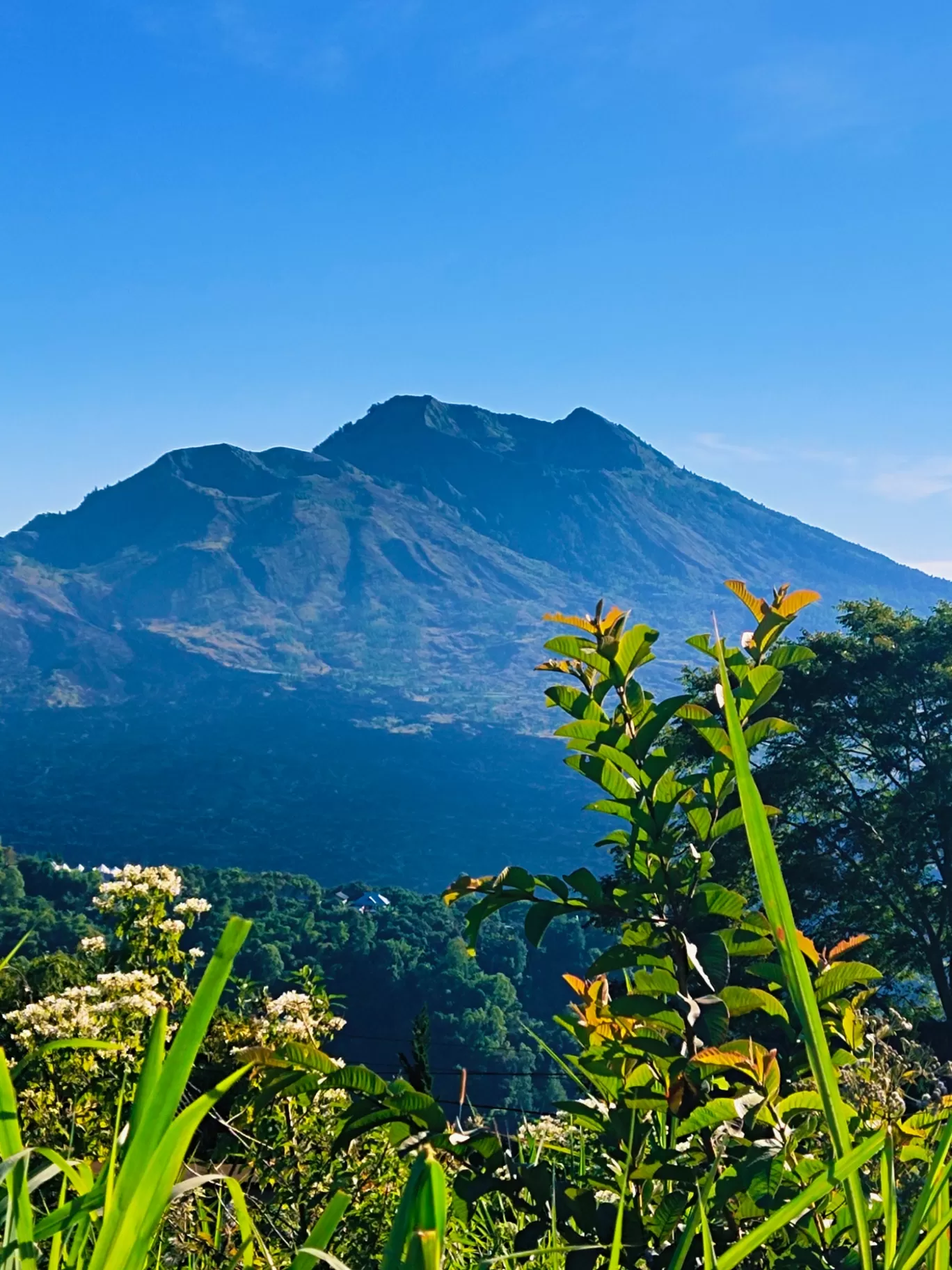 Photo of Mount Batur By Urmi D