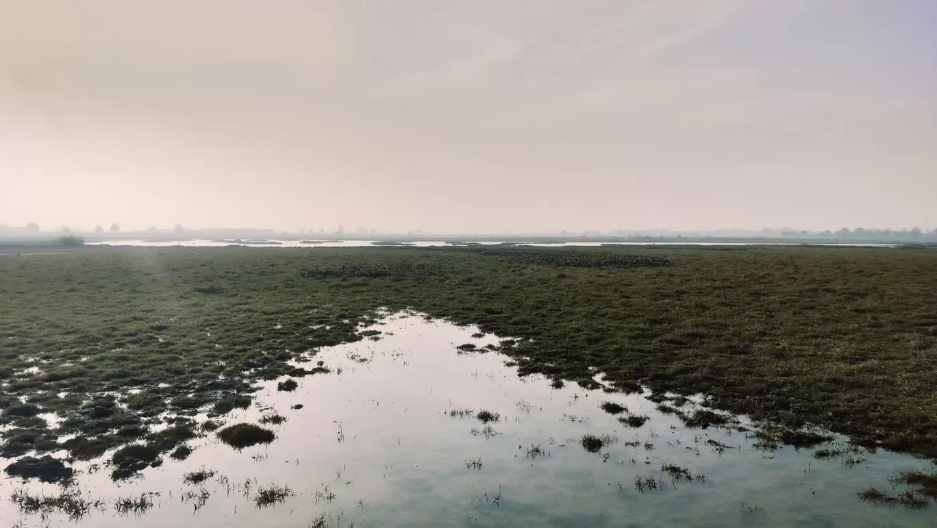 Photo of Dhanauri Wetlands By Urmi D