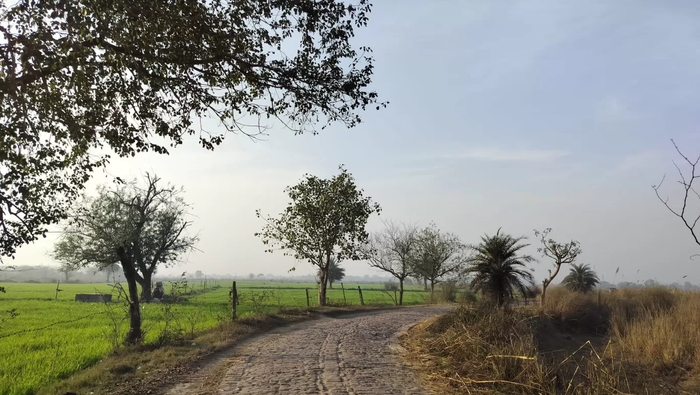 Photo of Dhanauri Wetlands By Urmi D