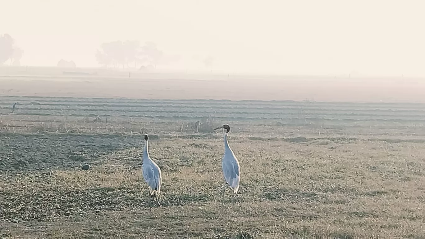 Photo of Dhanauri Wetlands By Urmi D