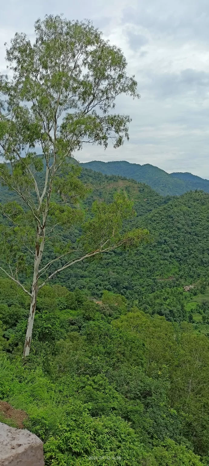 Photo of Morni Hills By Dinesh Kundu