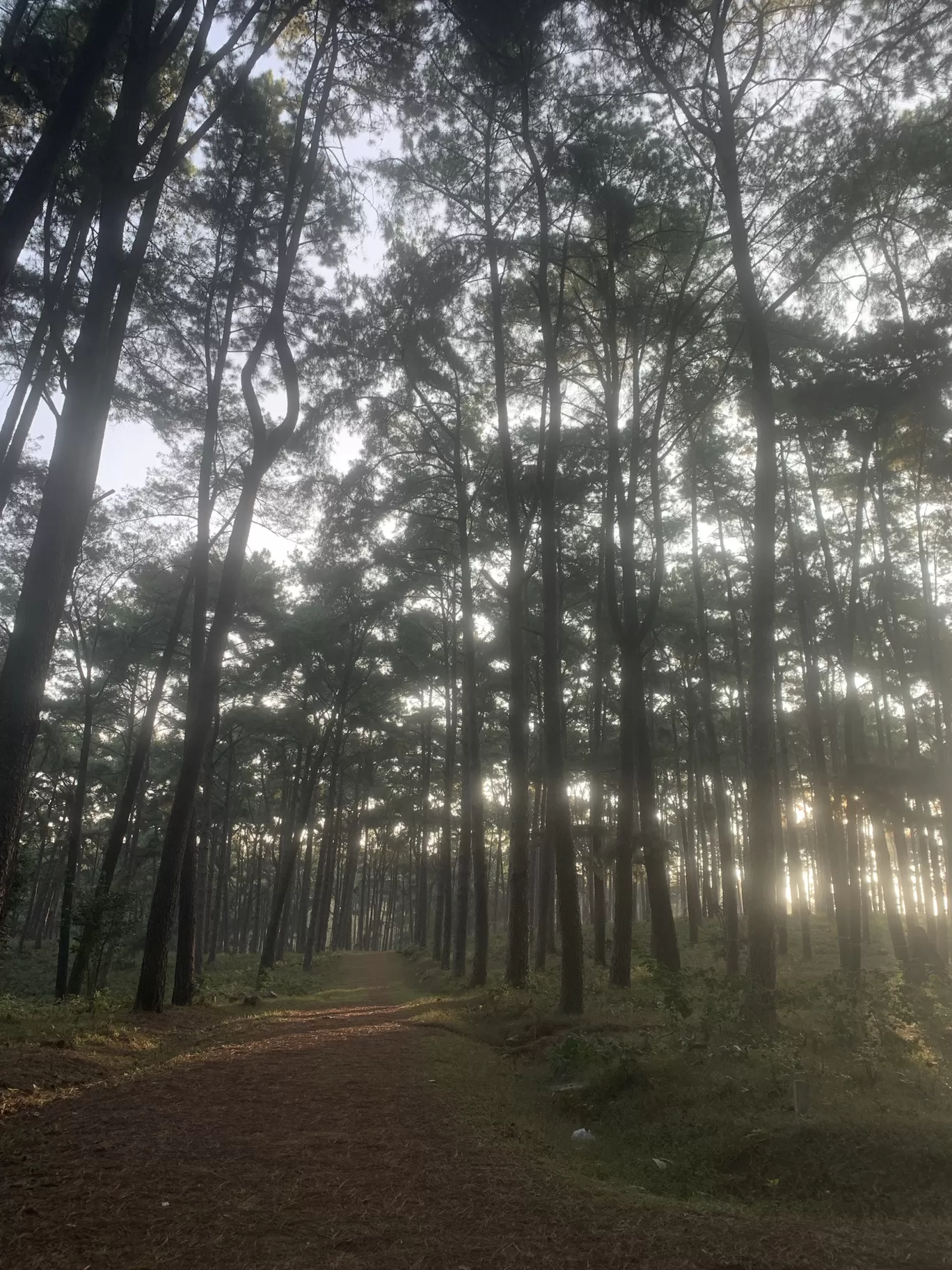 Photo of Koraput By TravelTalesWithLisha