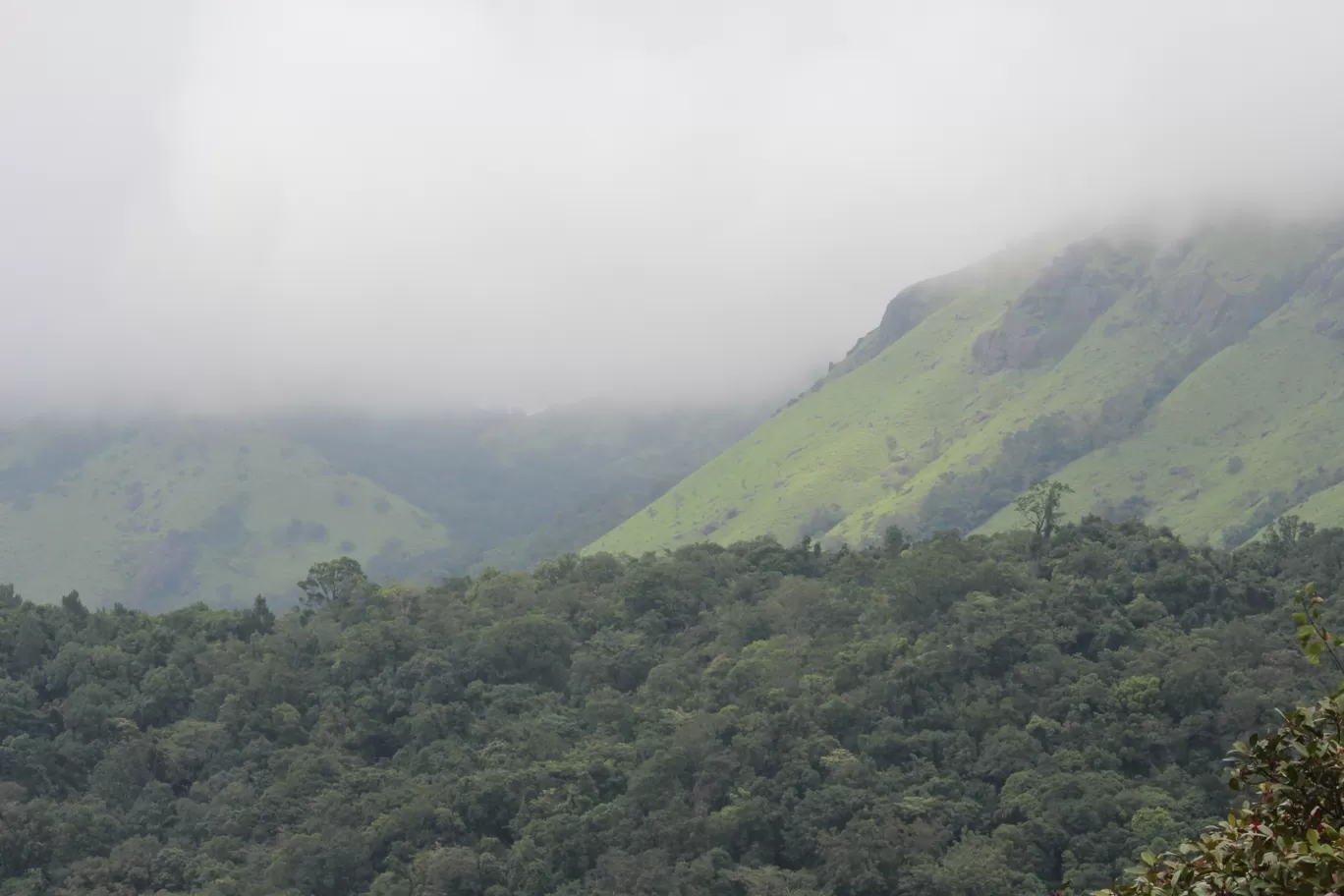 Photo of Mallalli Waterfalls By TravelTalesWithLisha