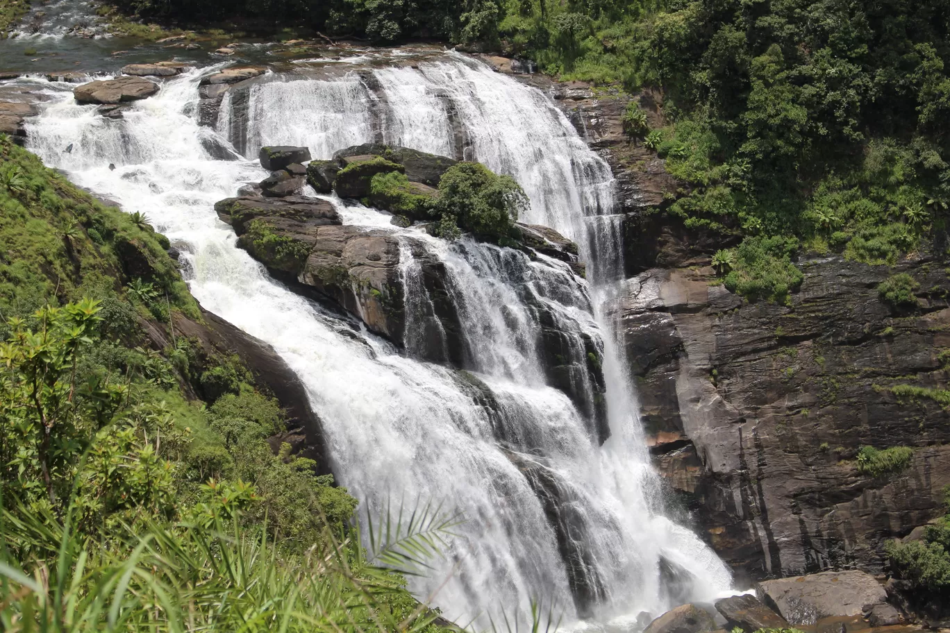 Photo of Mallalli Waterfalls By TravelTalesWithLisha