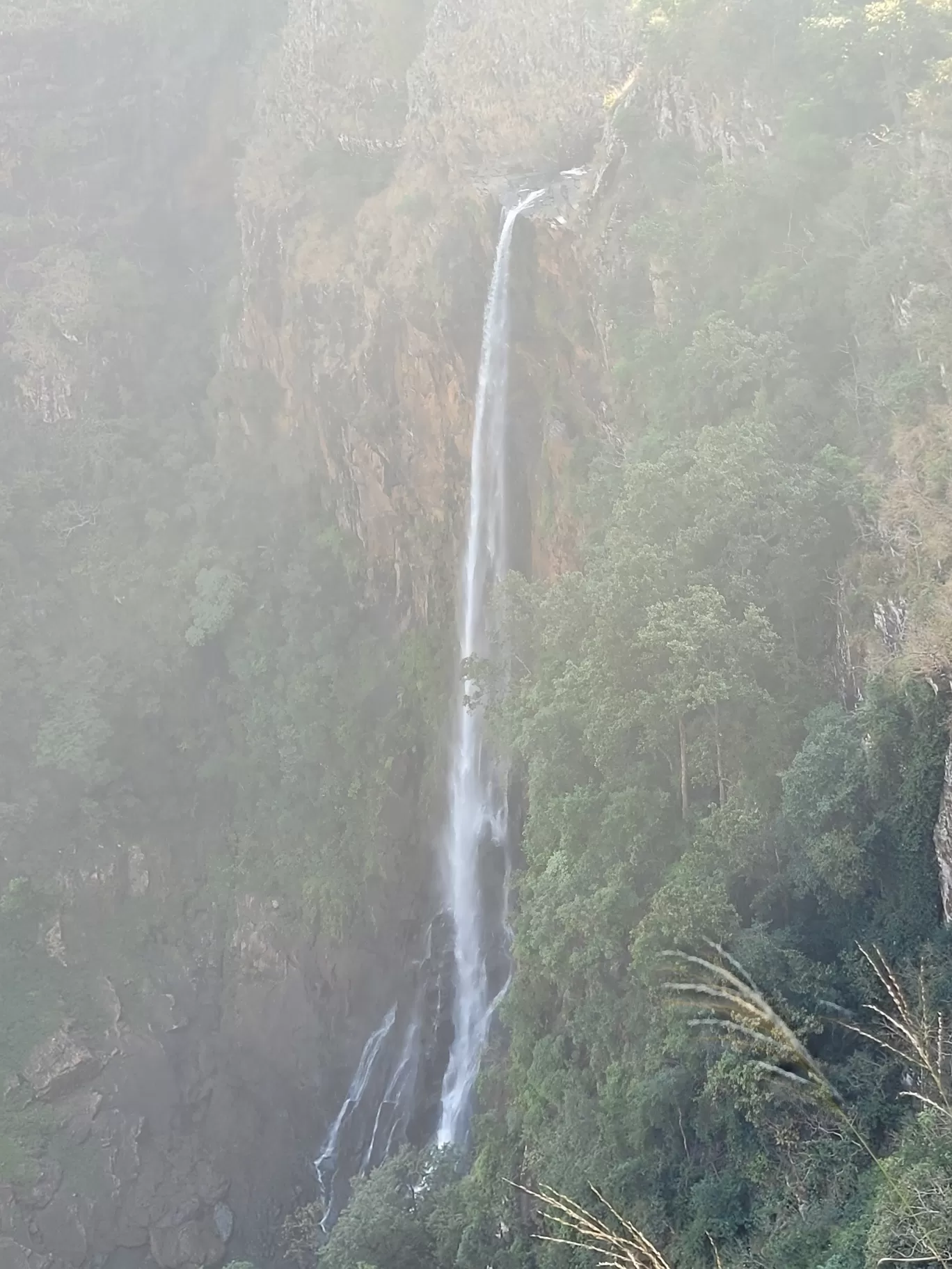 Photo of Similipal National Park By TravelTalesWithLisha