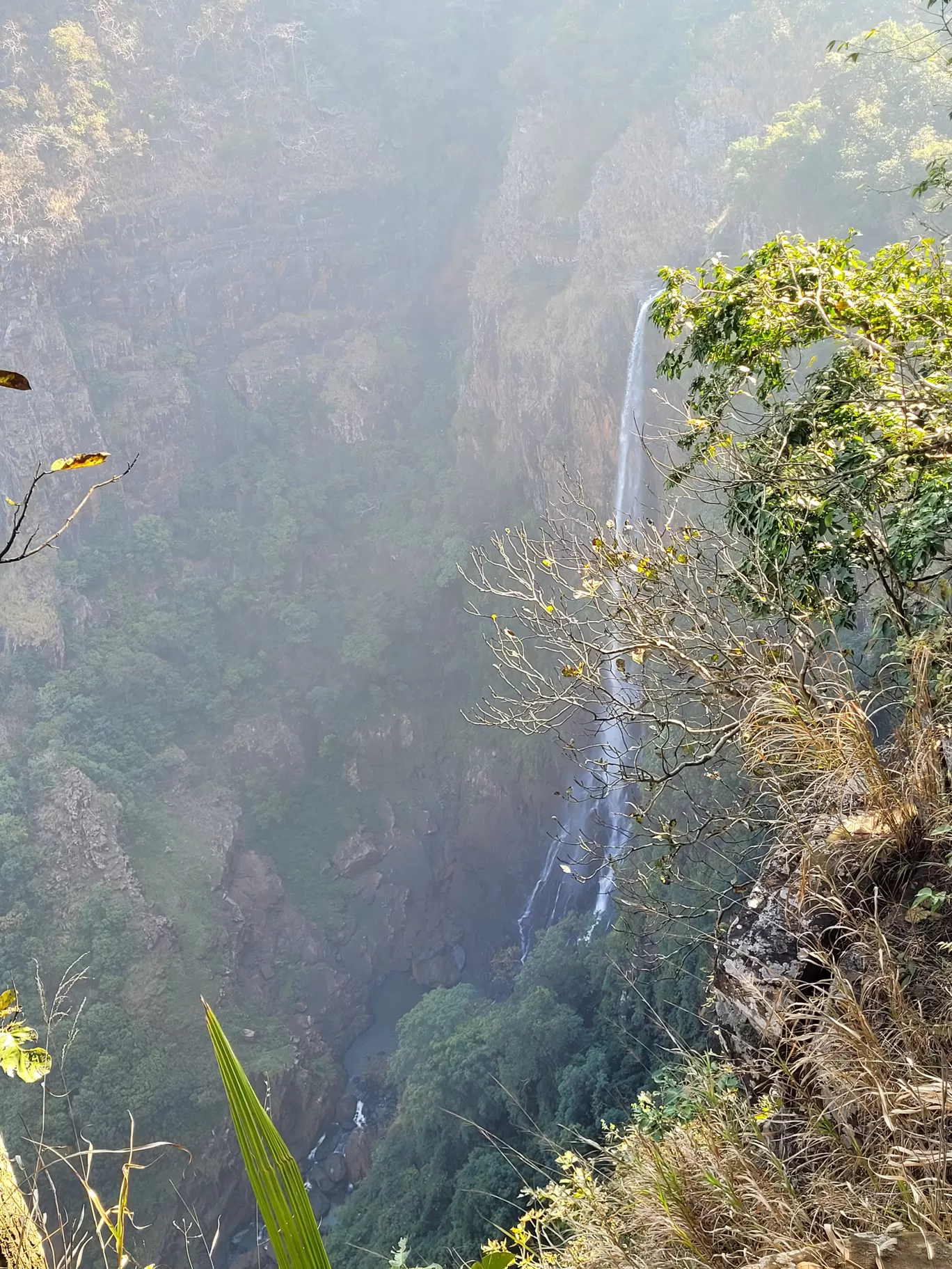 Photo of Similipal National Park By TravelTalesWithLisha