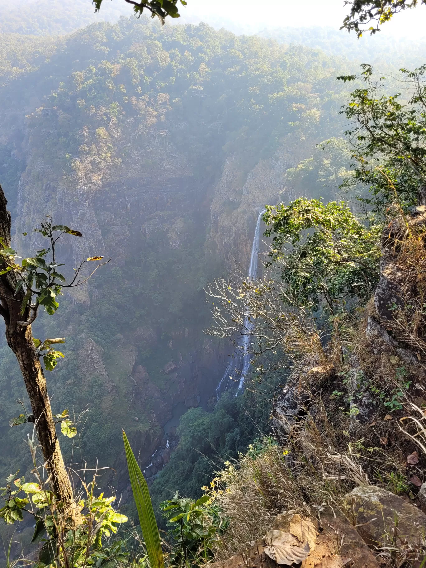 Photo of Similipal National Park By TravelTalesWithLisha