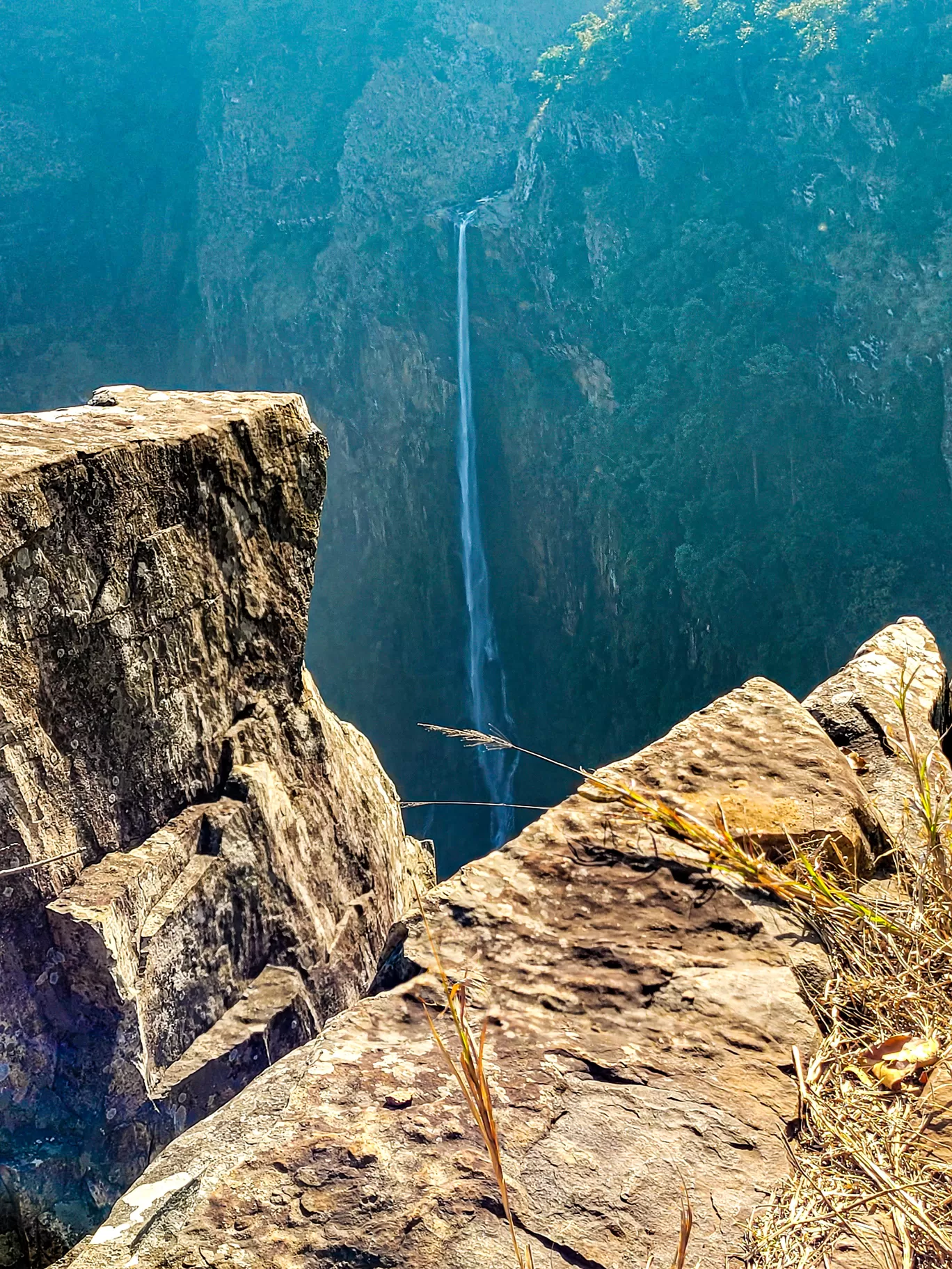 Photo of Similipal National Park By TravelTalesWithLisha