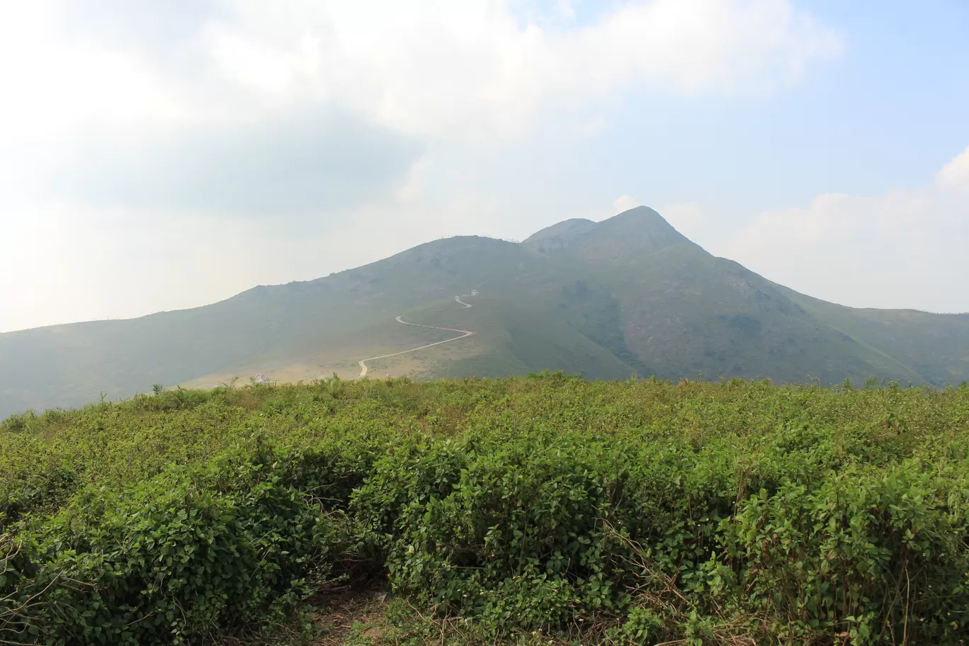Photo of Deomali Hill By TravelTalesWithLisha