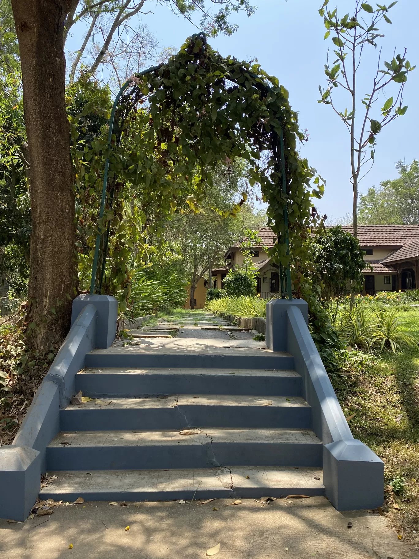 Photo of Jungle Lodges and Resorts- Kabini River Lodge By TravelTalesWithLisha