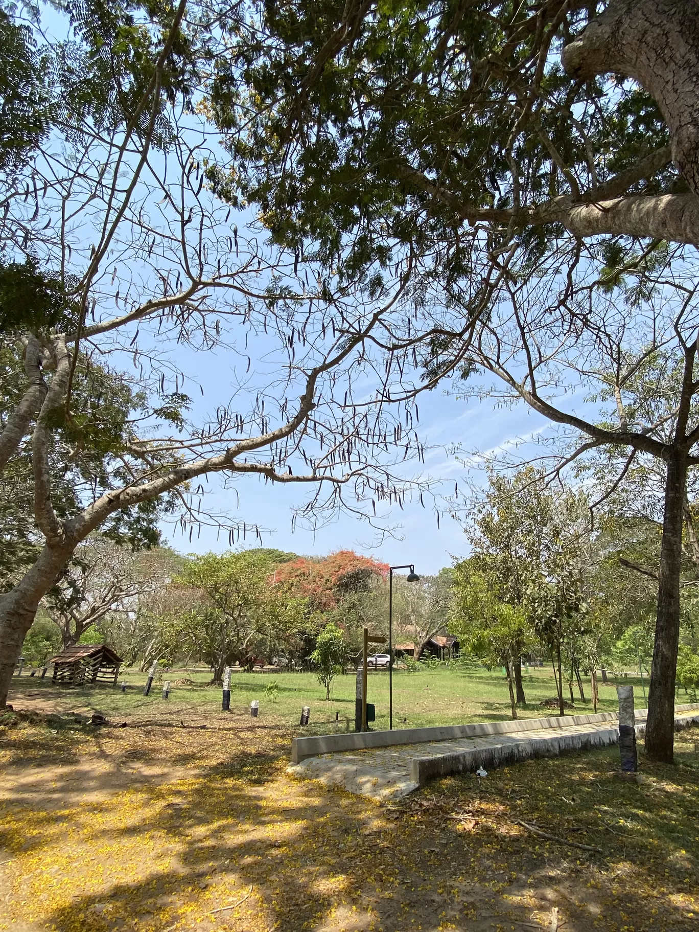 Photo of Jungle Lodges and Resorts- Kabini River Lodge By TravelTalesWithLisha