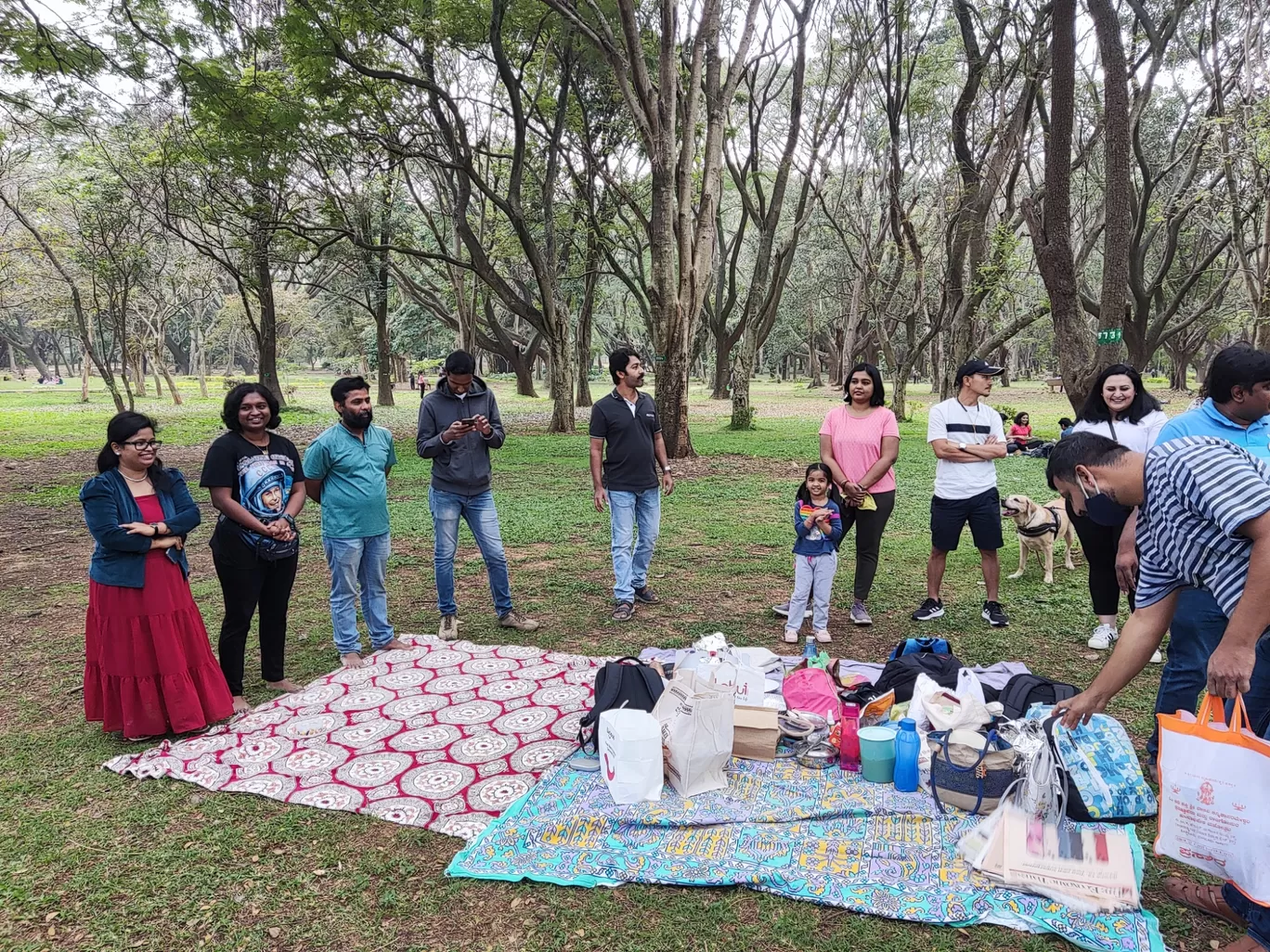 Photo of Cubbon Park By Sourav Agarwal